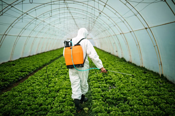Best Pest Control for Businesses  in Pho, IL