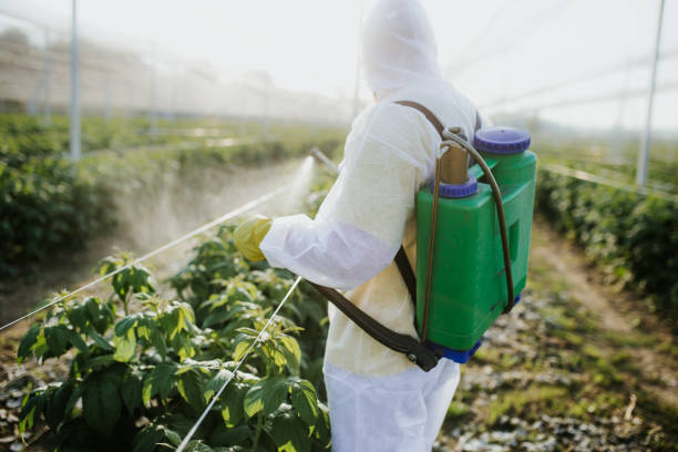 Best Cockroach Control Services  in Pho, IL